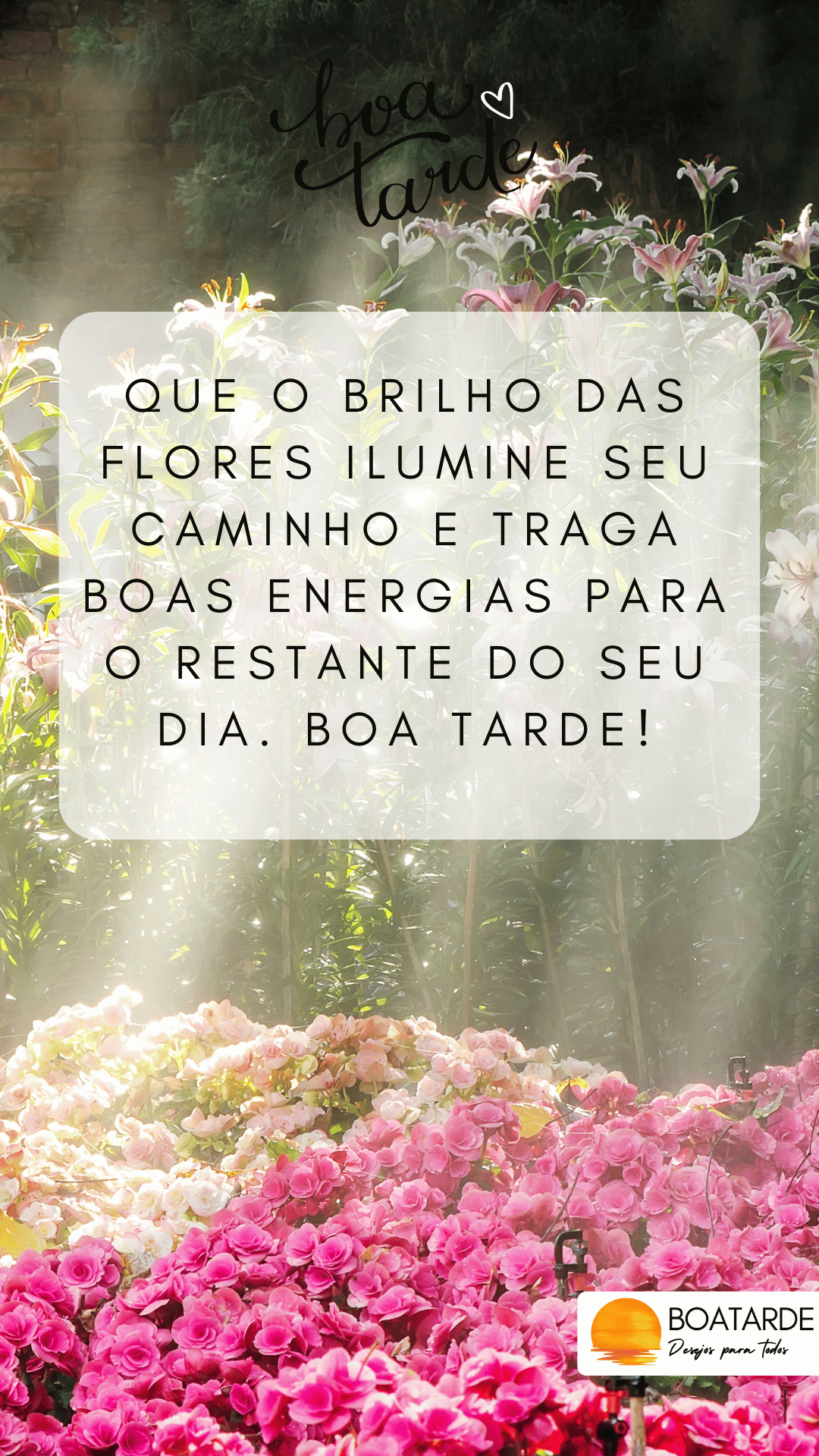 boa tarde com flores