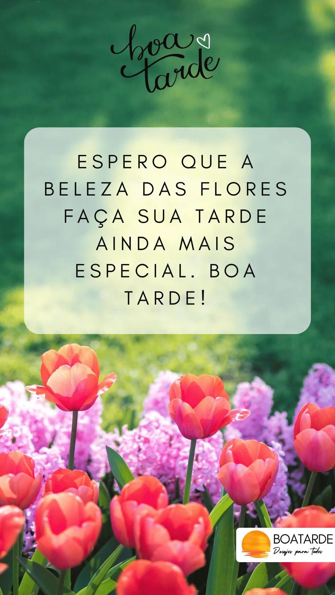 boa tarde com flores