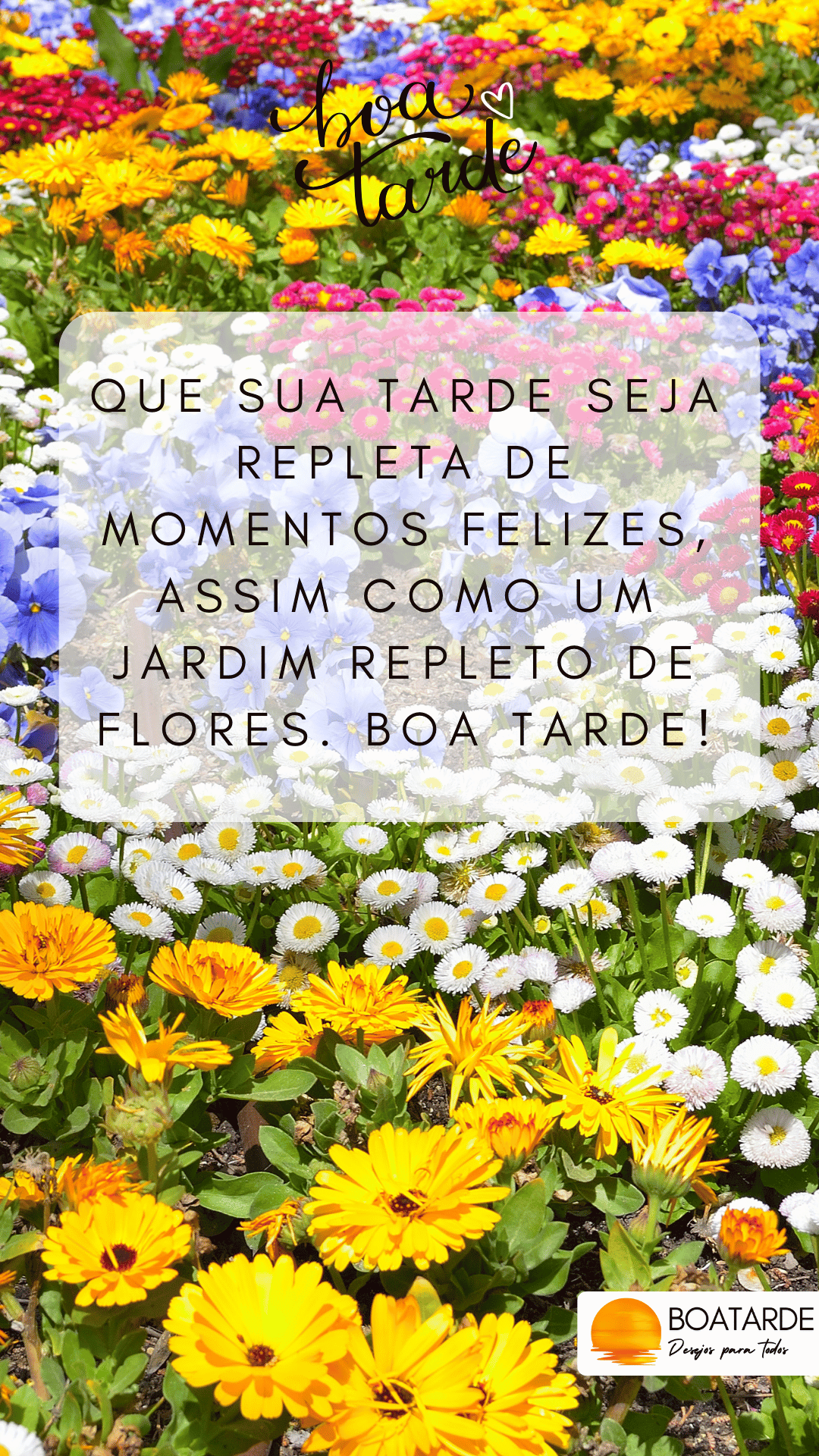 boa tarde com flores