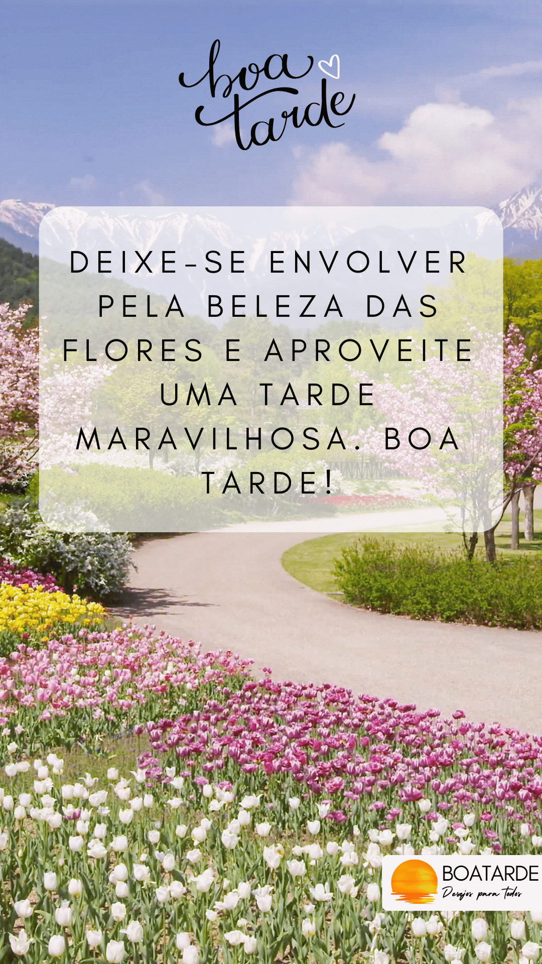 boa tarde com flores