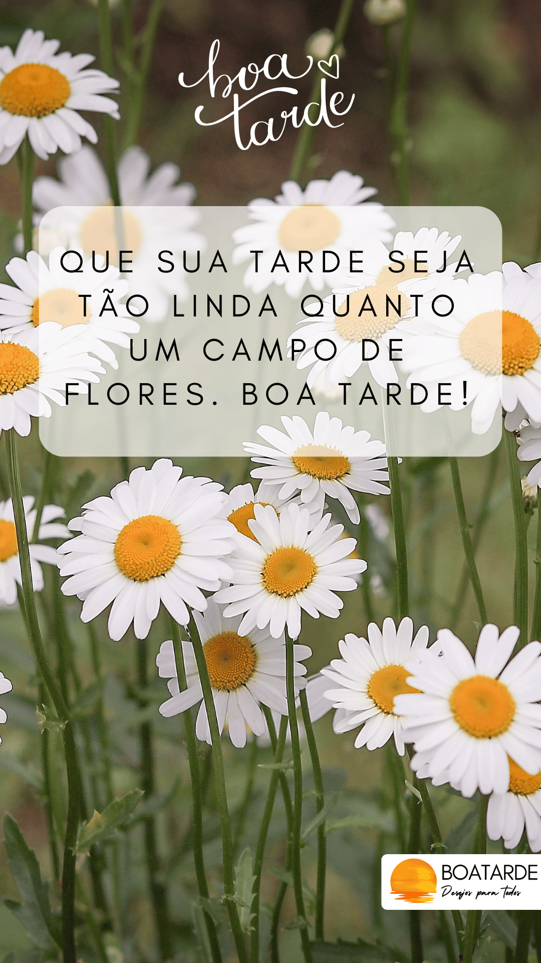 boa tarde com flores